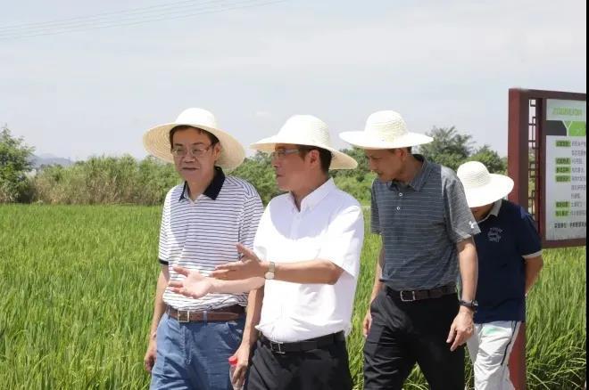 东升国际官网-钻营健全,你我一路成长