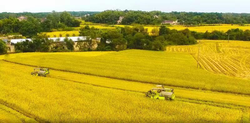 东升国际官网-钻营健全,你我一路成长