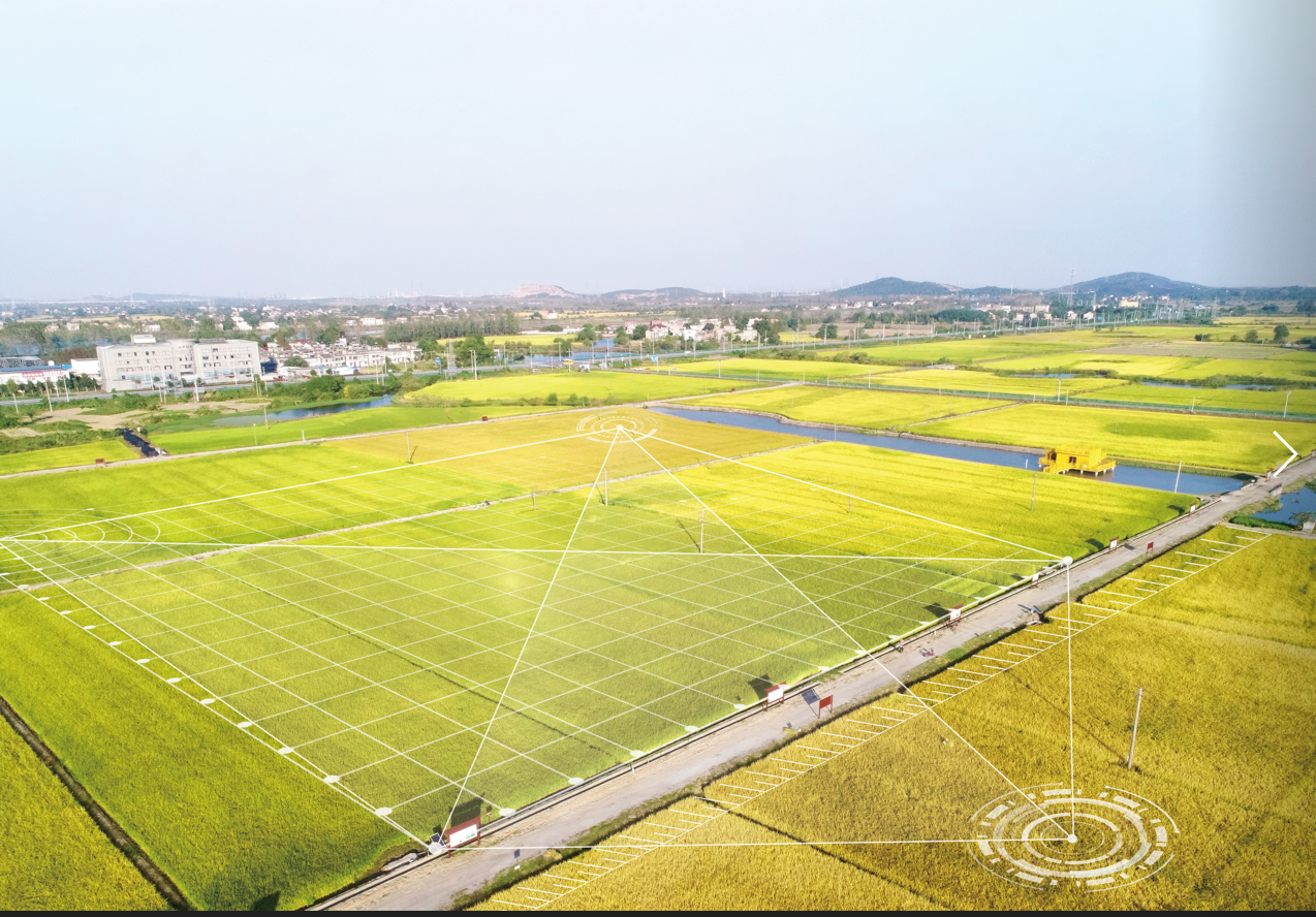 东升国际官网-钻营健全,你我一路成长