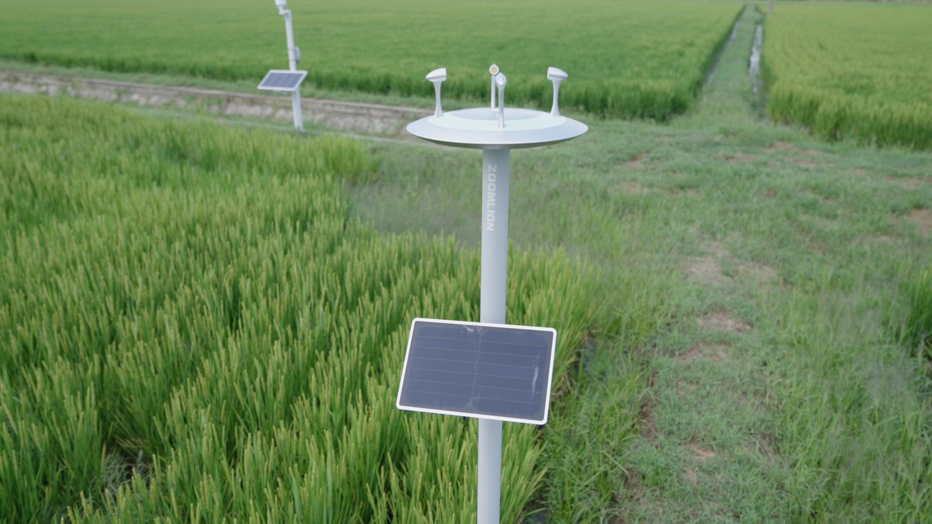 东升国际官网-钻营健全,你我一路成长