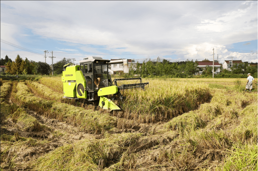 东升国际官网-钻营健全,你我一路成长