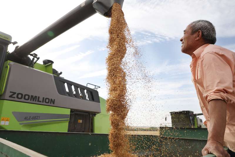 东升国际官网-钻营健全,你我一路成长