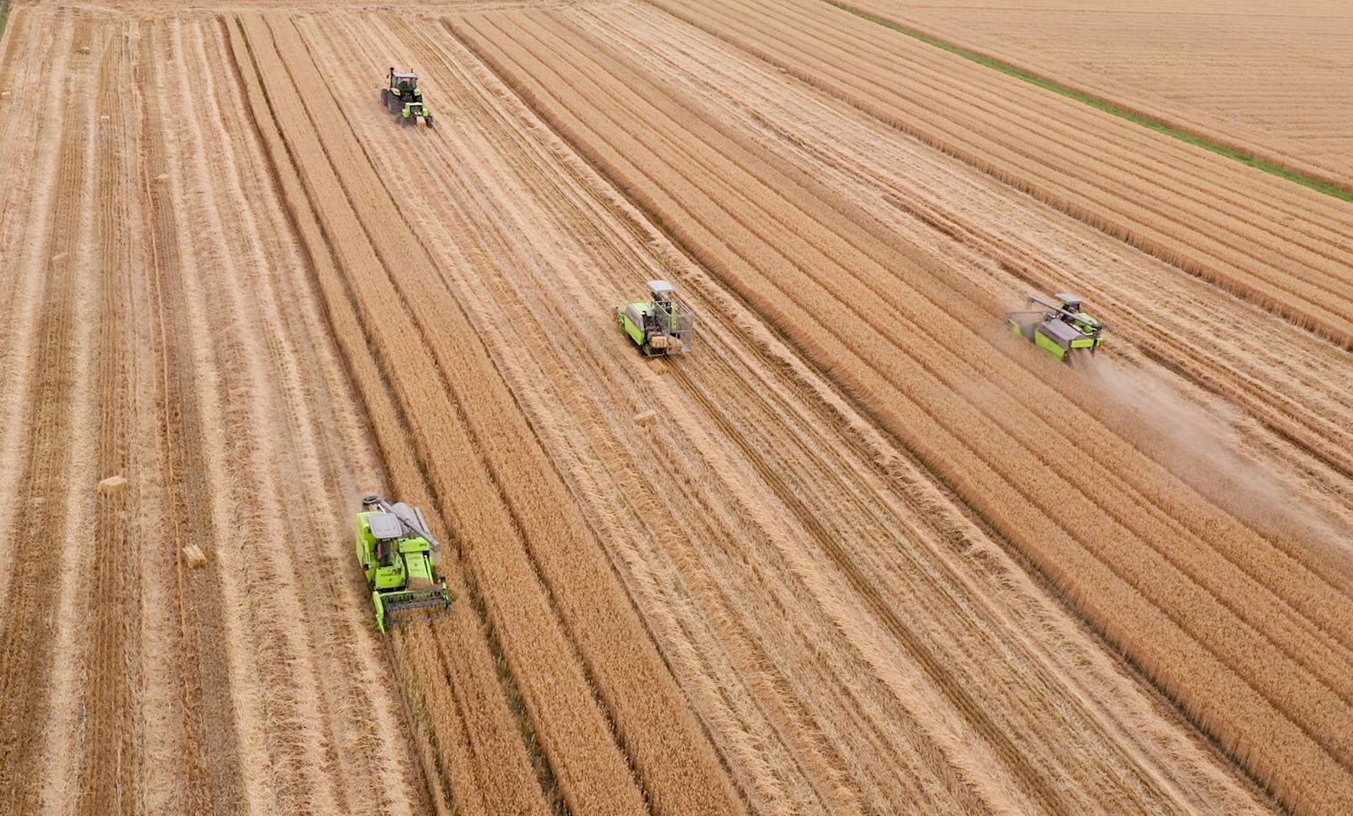 东升国际官网-钻营健全,你我一路成长