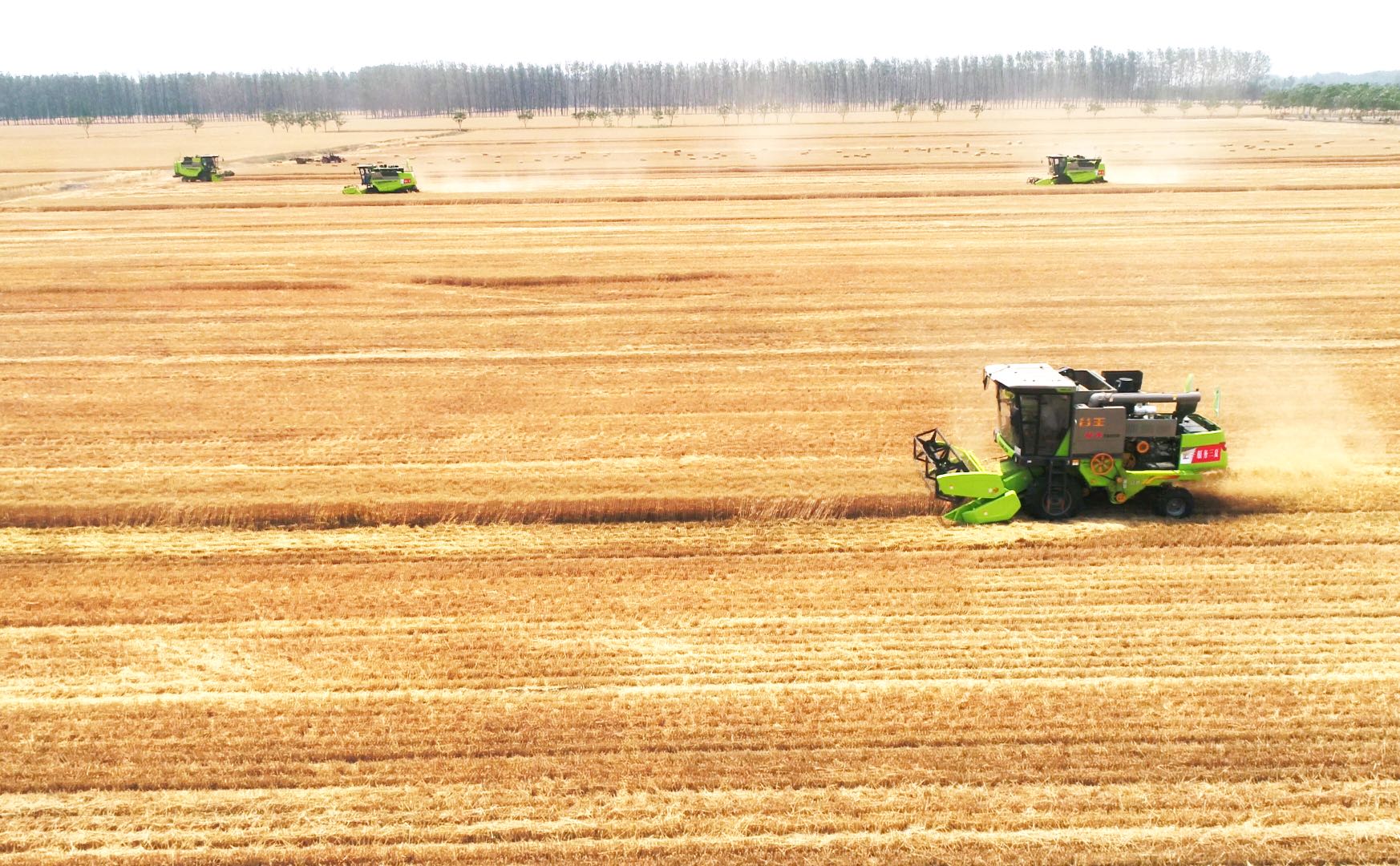 东升国际官网-钻营健全,你我一路成长